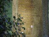 image of grave number 915770